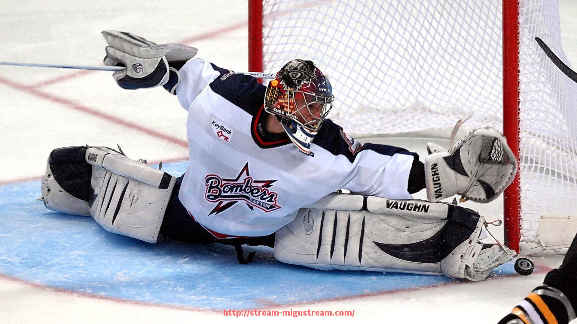 咪咕体育直播-室外公园常见健身器材功能与维护方式介绍